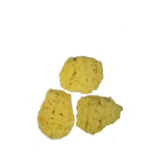 Esponges