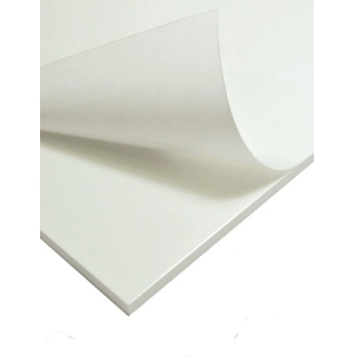 Pluma Basic Adhesiu 10mm