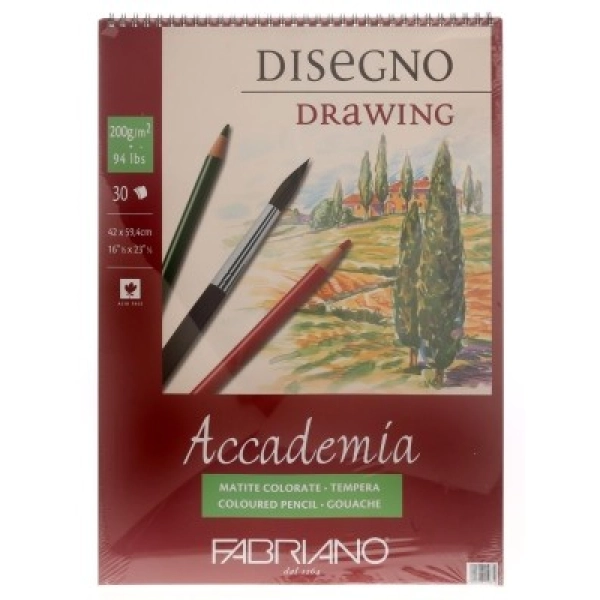 BLOC ACADEMIA 200gr.59x42  30 FULLS