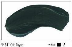 TITAN 60ml-GRIS PAYNE