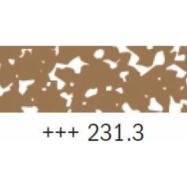 REMBRANDT-PASTEL OCRE OR 3