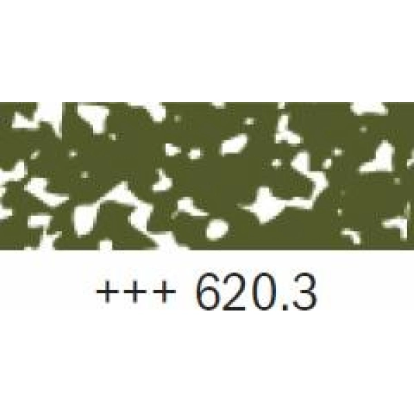 REMBRANDT-PASTEL VERD OLIVA 3