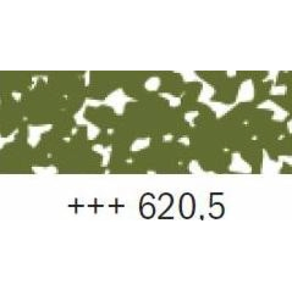 REMBRANDT-PASTEL VERD OLIVA 5