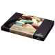 REMBRANDT 60 MITJOS PASTELS