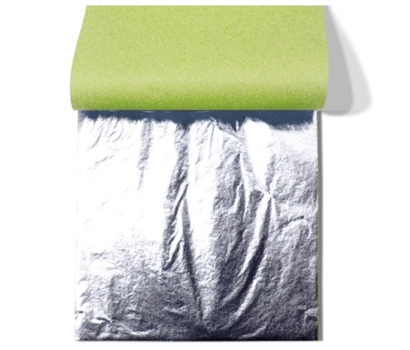 LLIBRET 25 FULLES DE PLATA 14x14