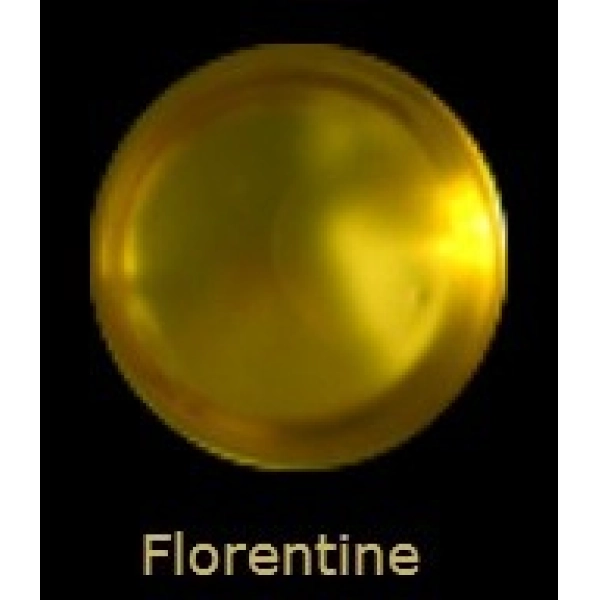 LIQUID LEAF FLORENTINE 60cc