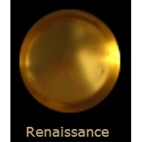 LIQUID LEAF RENAISSANCE 60cc