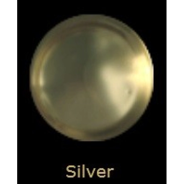 LIQUID LEAF SILVER   60cc