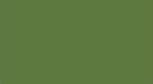 CERAMIC MONGAY-VERD SMOKE  50ml