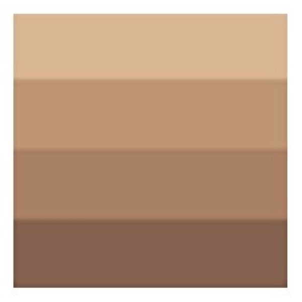 TINTA CHARBONNEL 60ml-SEPIA