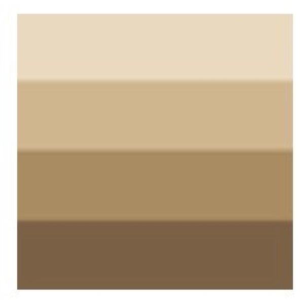 TINTA CHARBONNEL 60ml-TERRA OMBRA NATURAL