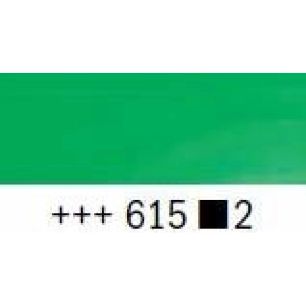 REMBRANDT 15ml-VERD PAOLO VERONES