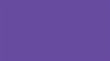 PIGMENT 1KG-VIOLETA CLAR 