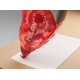 GLUE TAPE MILAN