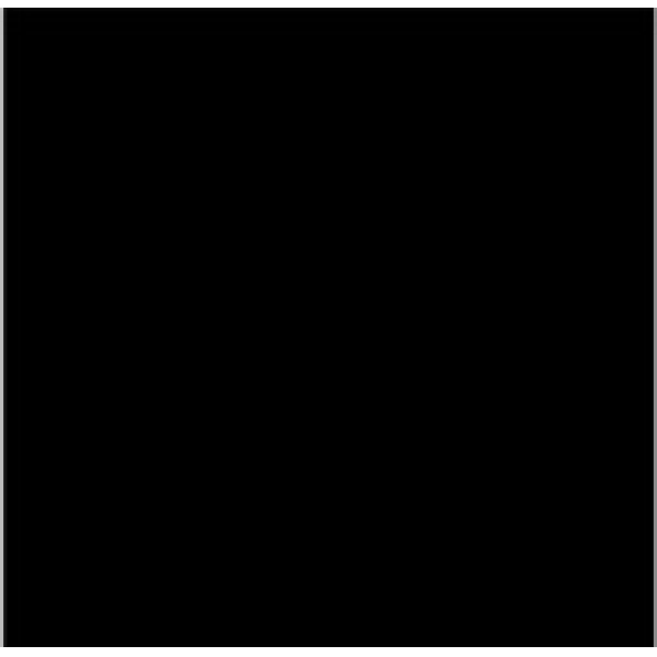 TINTA LINOLEUM 250ML- NEGRE