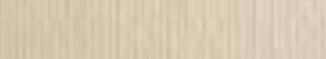 MURILLO MARFIL 260gr 100x70