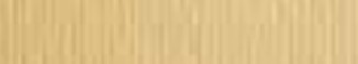 MURILLO CREMA 260gr 100x70