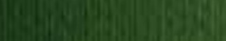 MURILLO VERD 260gr 100x70