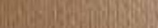 MURILLO AVELLANA 260gr 100x70