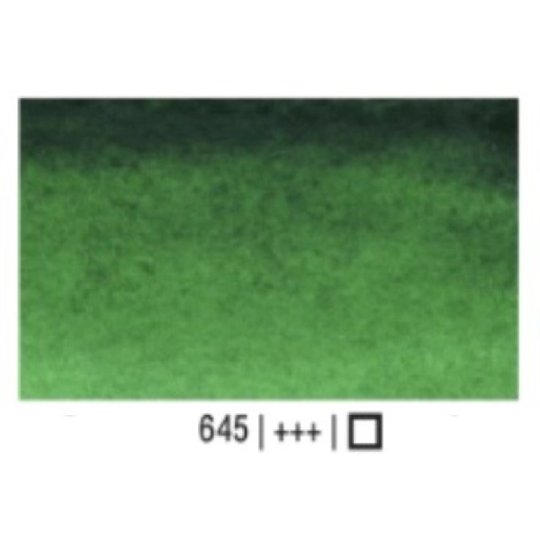VAN GOGH 10ml-VERD HOOKER FOSC