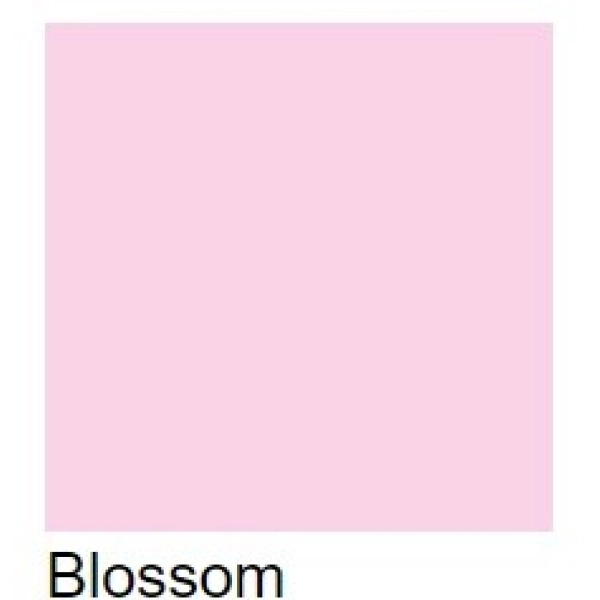 PROMARKER W&N-BLOSSOM