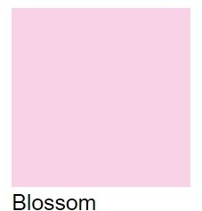 PROMARKER W&N-BLOSSOM