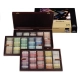 REMBRANDT CAIXA 225 PASTELLS