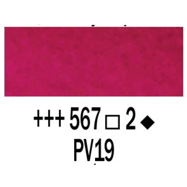 REMBRANDT 20ml-VIOLETA ROIG PERMANENT