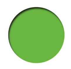 PREMIUM FLUO 60ml-VERD