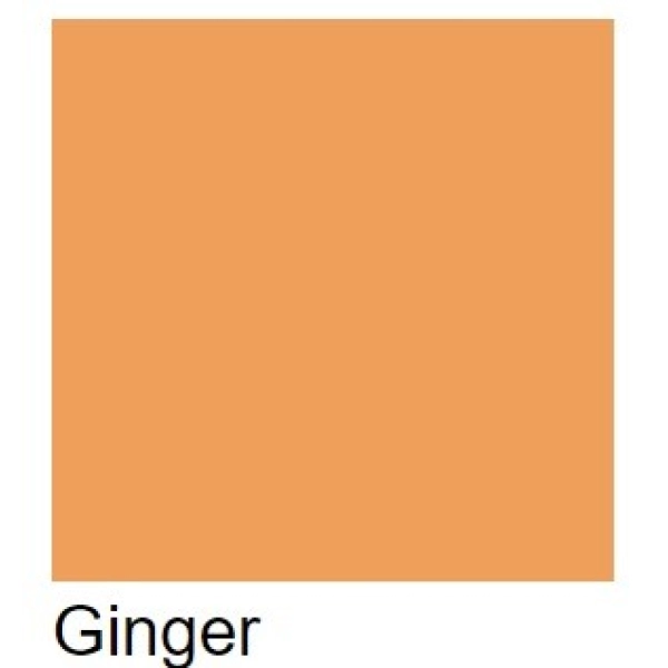 PROMARKER W&N-GINGER