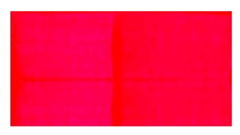 LA PAJARITA FLUOR 35ml-MAGENTA