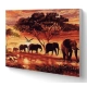 PINTAR PER NOMBRES-ELEFANTS