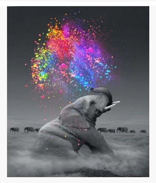 PINTAR PER NOMBRES-ELEFANT COLOR
