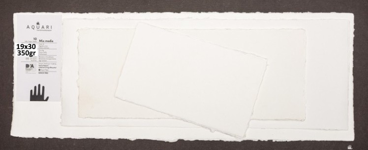 PACK AQUARI 30x18 350gr. 10 FULLS