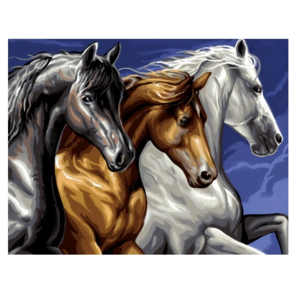 PINTAR PER NOMBRES-CAVALLS SALVATGES