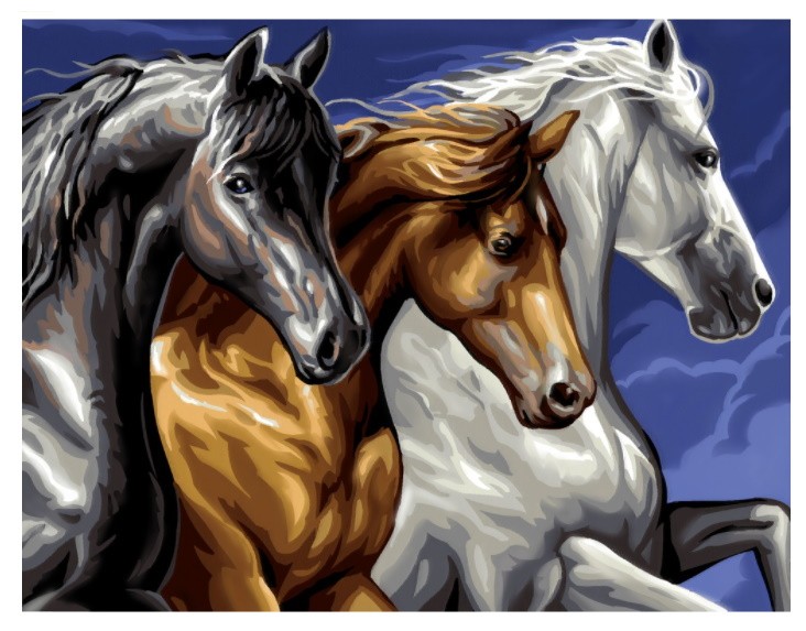 PINTAR PER NOMBRES-CAVALLS SALVATGES