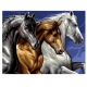 PINTAR PER NOMBRES-CAVALLS SALVATGES