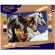 PINTAR PER NOMBRES-CAVALLS SALVATGES
