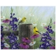 PINTAR PER NOMBRES-FLORS I OCELLS