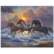 PINTAR PER NOMBRES-CAVALLS