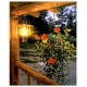 PINTAR PER NOMBRES-LLUM I FLORS