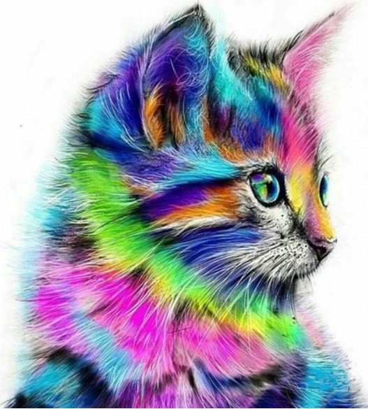 PINTAR PER NOMBRES-GAT DE COLORS