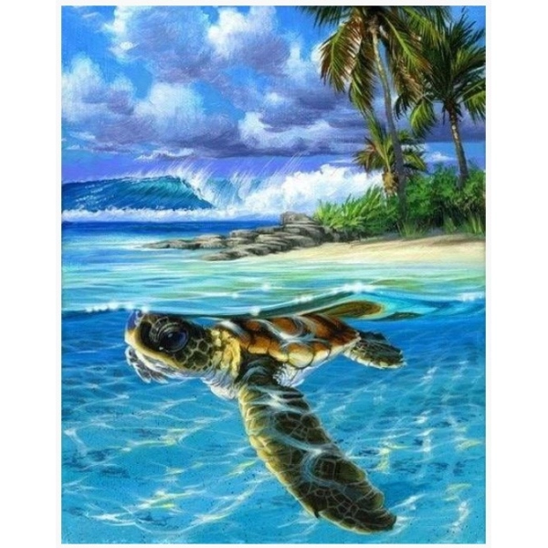 PINTAR PER NOMBRES-TORTUGA