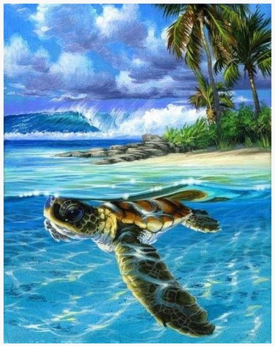 PINTAR PER NOMBRES-TORTUGA