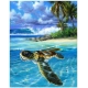 PINTAR PER NOMBRES-TORTUGA