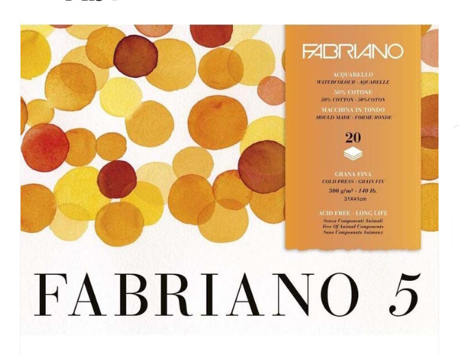 BLOC FABRIANO 5 300gr. 41x31 20 FULLS